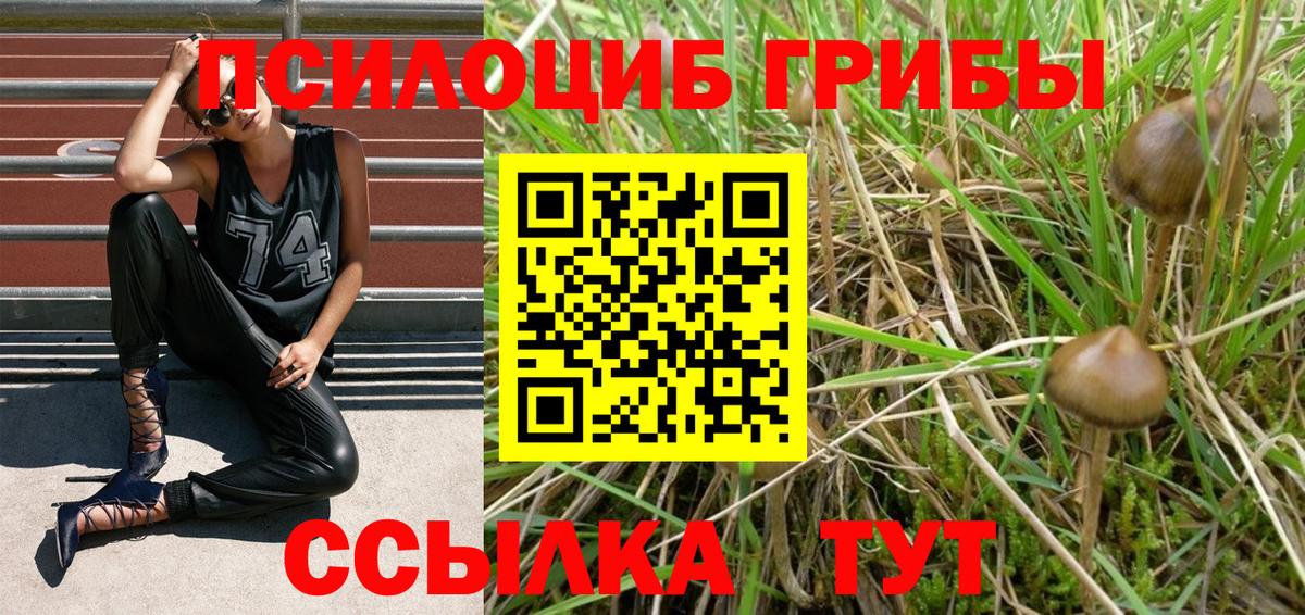 Псилоцибиновые грибы Magic Shrooms  Вход с VPN  Гусиноозёрск 